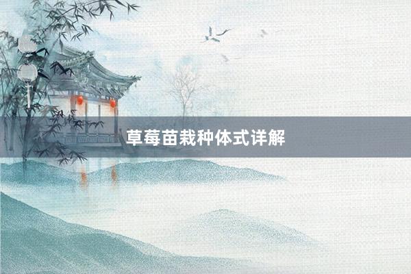 草莓苗栽种体式详解