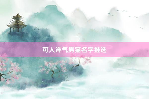 可人洋气男猫名字推选