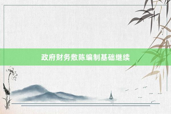 政府财务敷陈编制基础继续